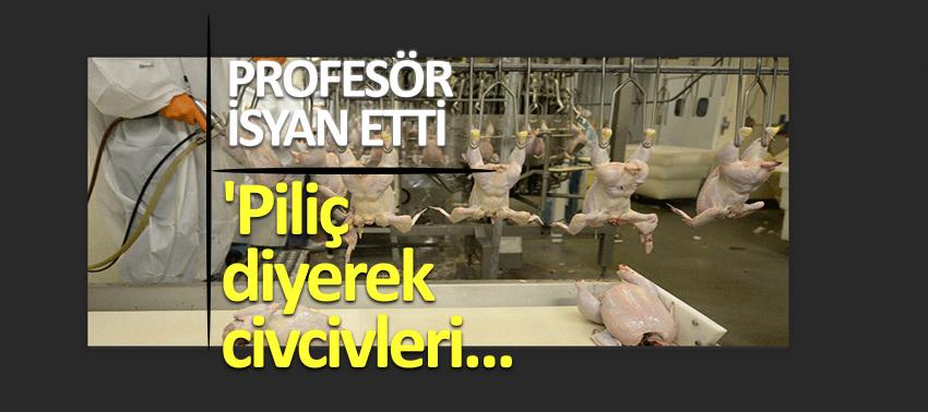 Yavuz Dizdar: 'Piliç diyerek civcivleri yediriyorlar'