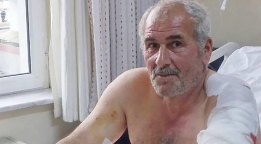 Ayı saldırısına uğrayan vatandaş yaralı kurtuldu