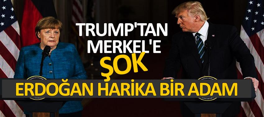 Trump'tan Merkel'e şok: 'Erdoğan harika bir adam'