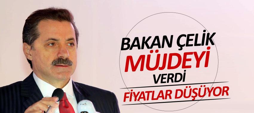 Bakan Çelik’ten sebze fiyatlarında düşüş müjdesi