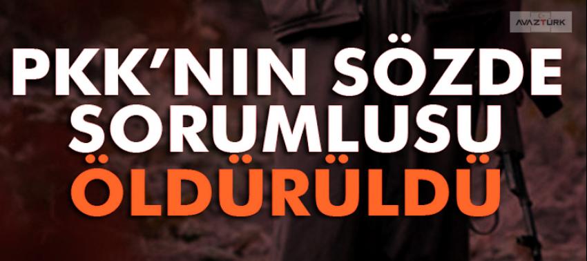 PKK'nın sözde bölge sorumlusu öldürüldü!
