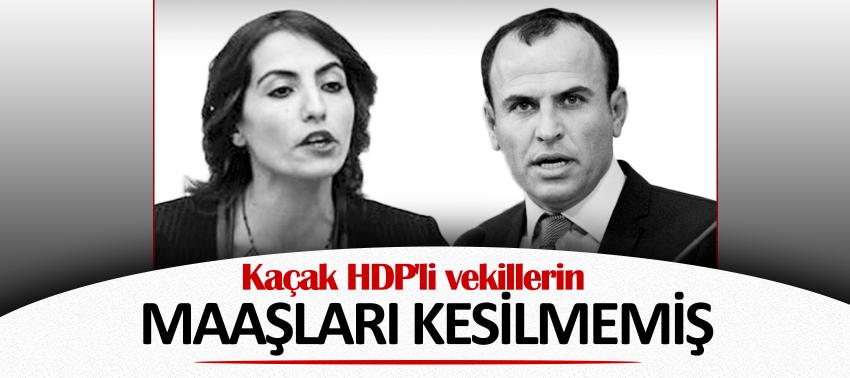 Kaçak HDP'li vekiller maaş almaya devam ediyor