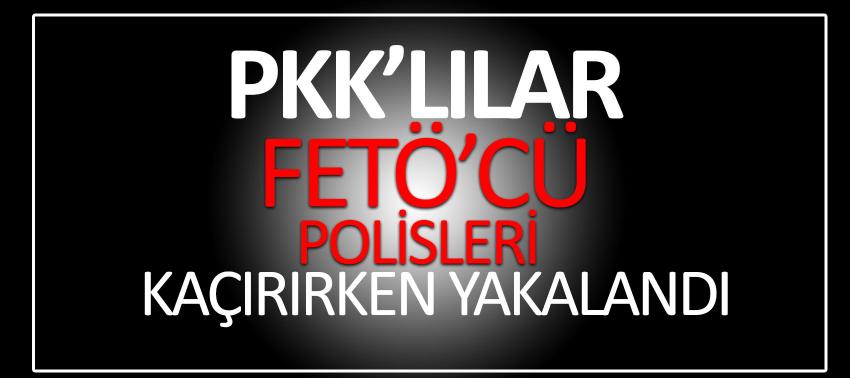 PKK’lılar FETÖ’cü polisleri kaçırırken yakalandı