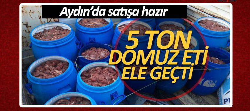 Aydın'da satışa hazır 5 ton domuz eti ele geçti