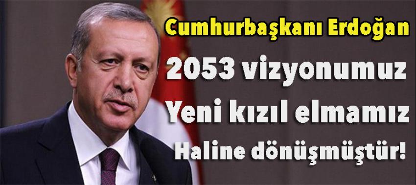 Erdoğan: 2053 vizyonumuz yeni kızıl elmamız haline dönüşmüştür
