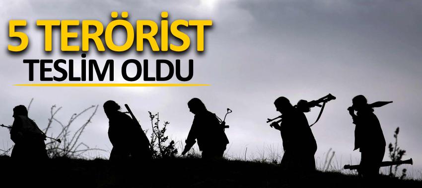 Uludere ve Silopi'de 5 terörist teslim oldu