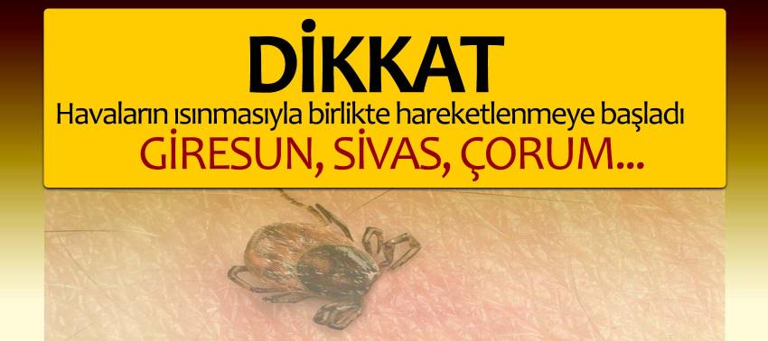 Havaların ısınmasıyla birlikte hareketlenmeye başladı! Giresun, Sivas, Çorum...