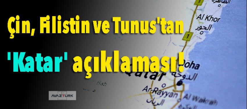 Çin, Filistin ve Tunus'tan 'Katar' açıklaması!