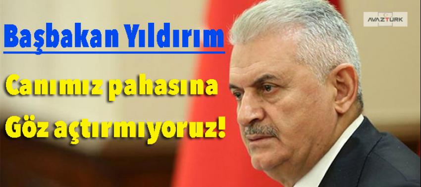 Başbakan Yıldırım: Canımız pahasına...