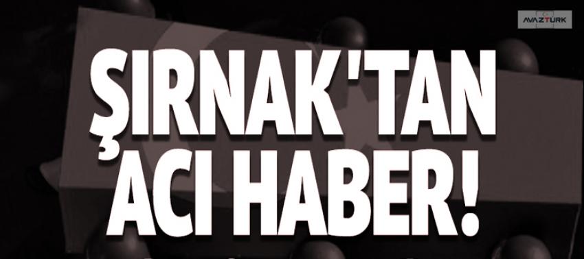 Şırnak'tan acı haber: 2 şehit, 3 yaralı!