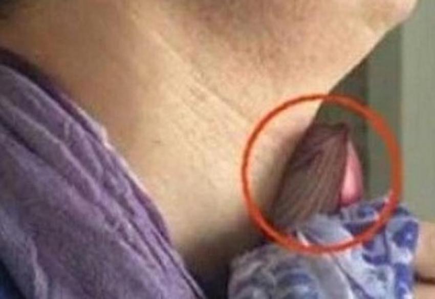Soğanı boyna bağlamanın inanılmaz faydası