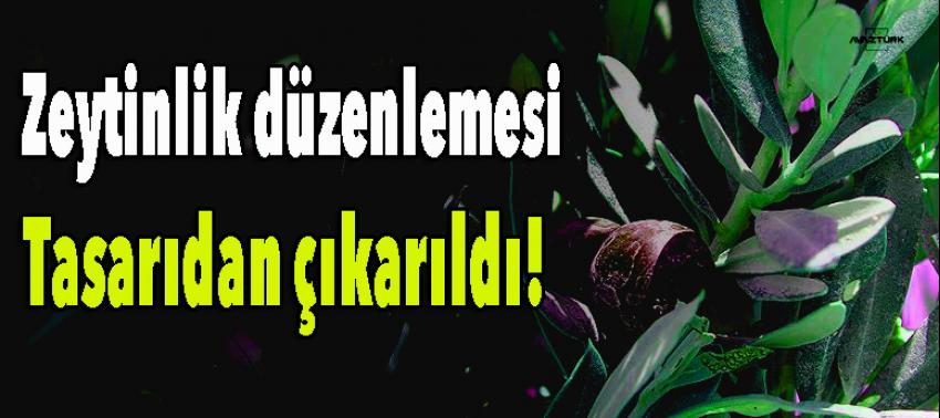 Zeytinlik düzenlemesi tasarıdan çıkarıldı!