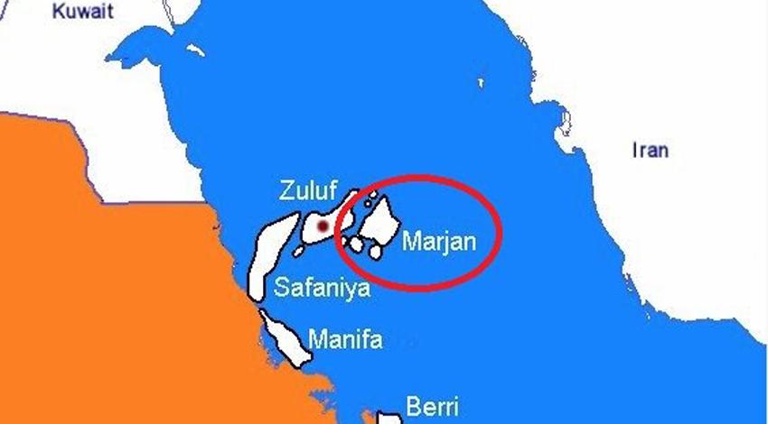 Suud: Silah yüklü gemi ele geçirdik