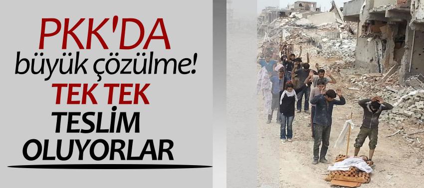 PKK'da büyük çözülme! Tek tek teslim oluyorlar