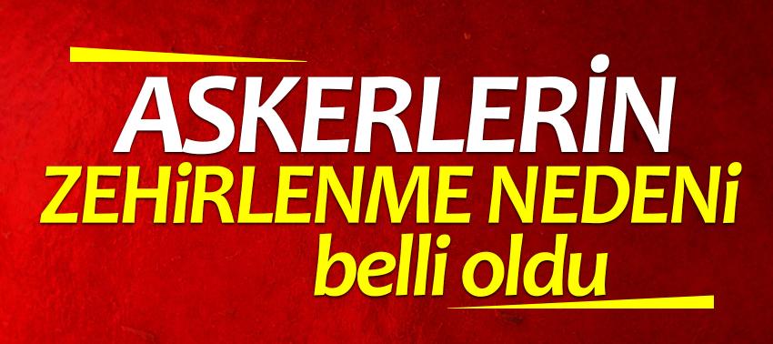 Son dakika... Askerlerin neden zehirlendiği ortaya çıktı