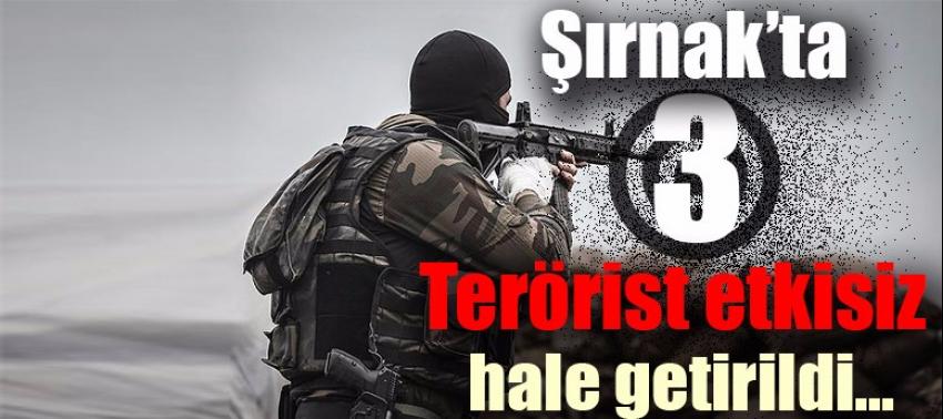 Saldırı hazırlığındaki 3 terörist öldürüldü