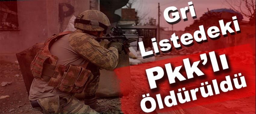 Gri listedeki PKK'lı terörist öldürüldü