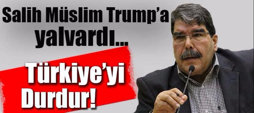 Teröristbaşı Salih Müslim Trump’a yalvardı! 'Türkiye'yi durdur'