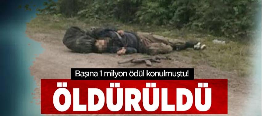 Yeşil listede aranan terörist öldürüldü