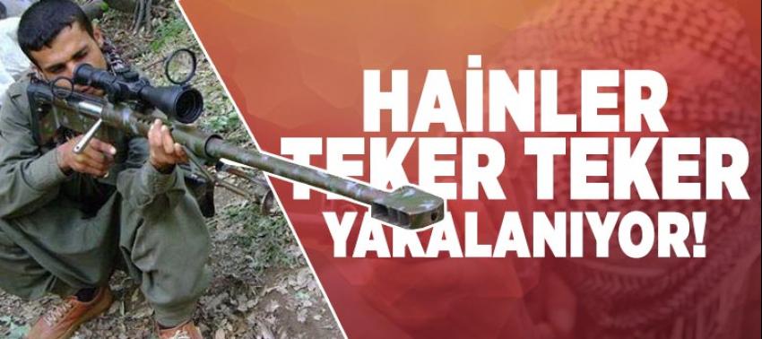 Hainler teker teker yakalanıyor!