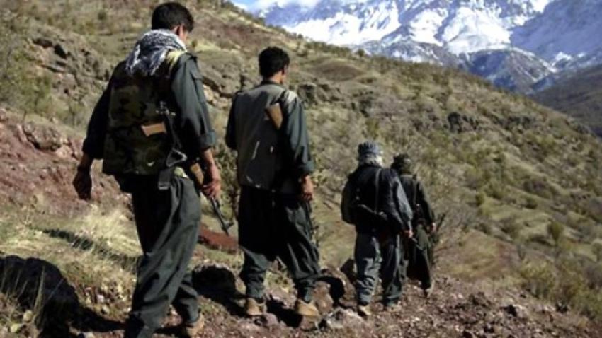 PKK'nın gençlik yapılanmasına büyük darbe!