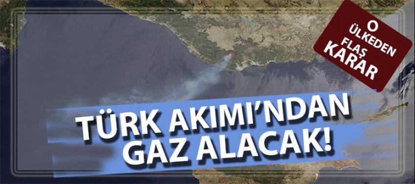 Macaristan Türk Akım'dan gaz alacak