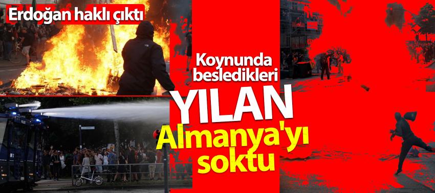 Koynunda besledikleri yılan Almanya'yı soktu
