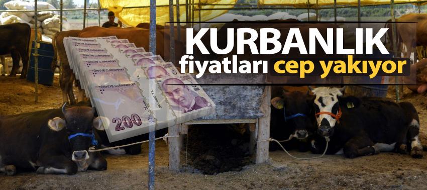 Kurbanlık fiyatları cep yakacak!