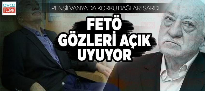 FETÖ'yü Pensilvanya'da korku dağları sardı