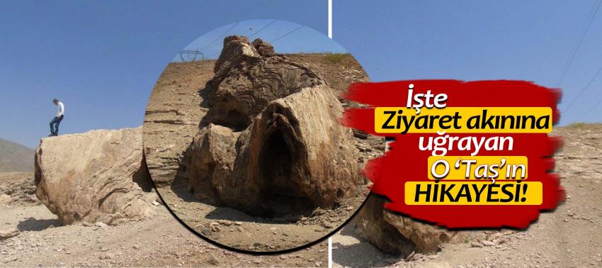 Canavara Benzeyen Taş Turistlerin Akınına Uğruyor