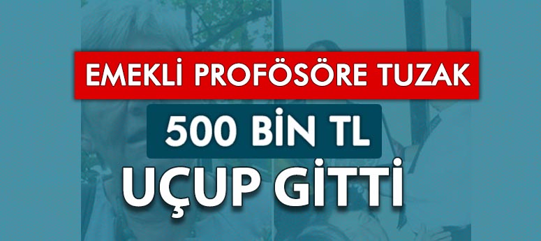 Emekli profesörü 500 bin lira dolandırdılar