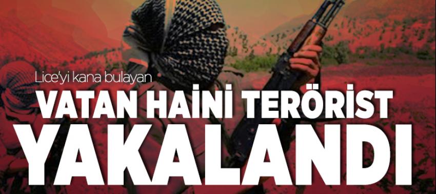 Lice'yi kana bulayan vatan haini terörist yakalandı