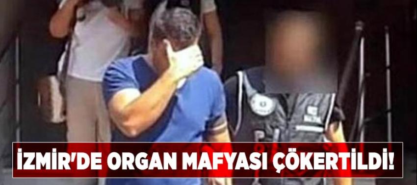 İzmir'de organ mafyası çökertildi!