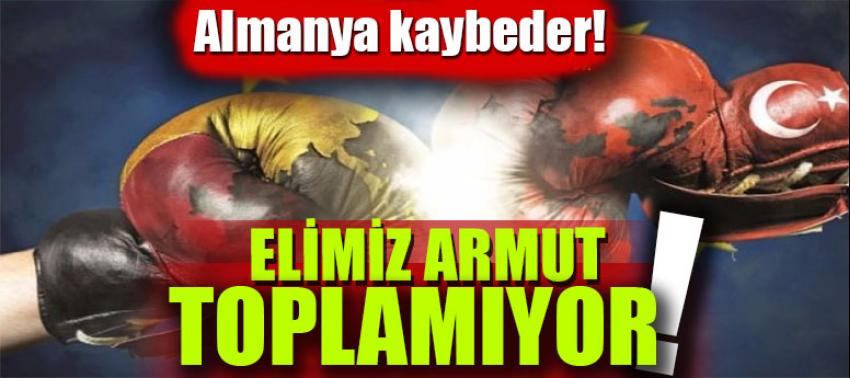 'Almanya kaybeder!' Elimiz armut toplamıyor...