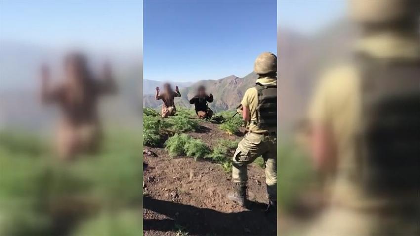 Hakkari ve Şırnak'ta 5 terörist teslim oldu