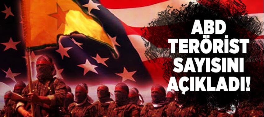 ABD terörist sayısını açıkladı!