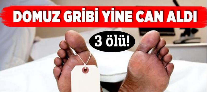 Domuz gribi yine can aldı: 3 ölü