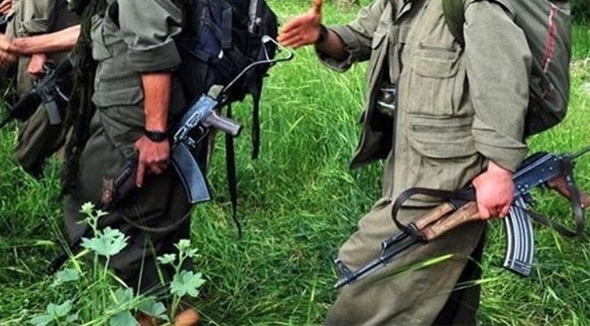 PKK'nın 'Türkiye mali alan sorumlusu' tutuklandı!