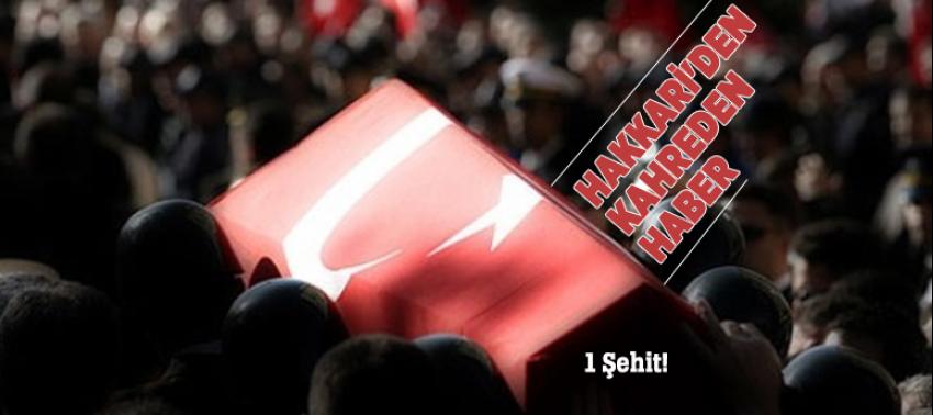 Hakkari'den kahreden haber