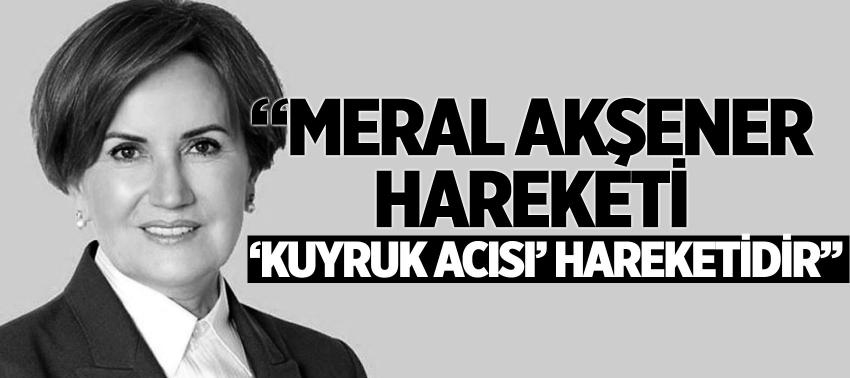 Meral Akşener hareketi ‘kuyruk acısı’ hareketidir