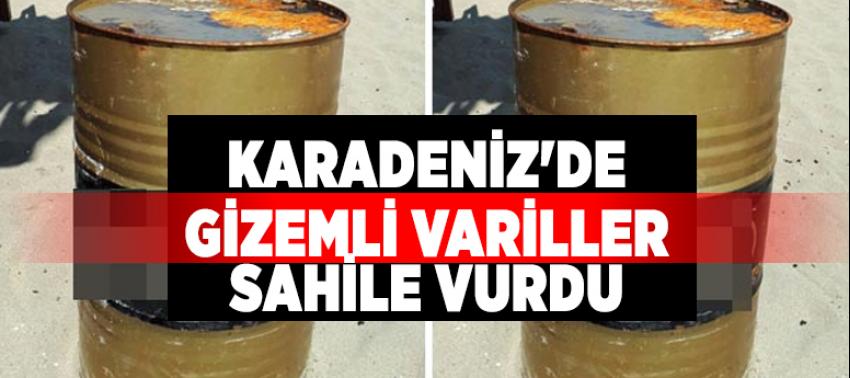 Karadeniz'de gizemli variller sahile vurdu