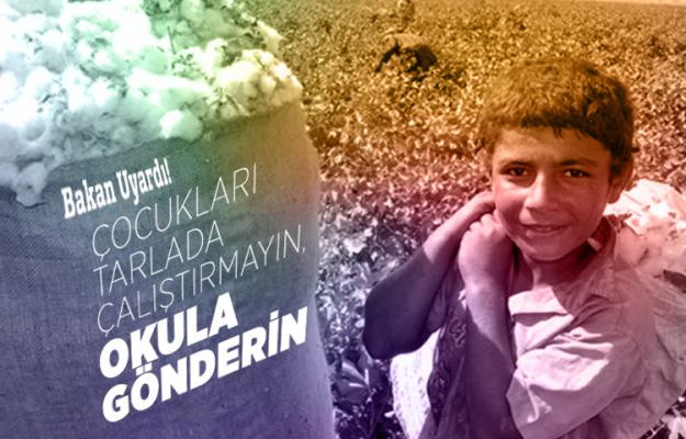 Bakan Sarıeroğlu'ndan çocuk işçi uyarısı!