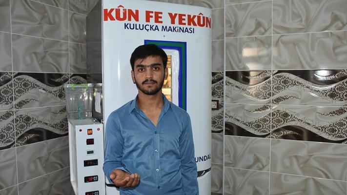 'Buzdolabından' civciv çıkarttı