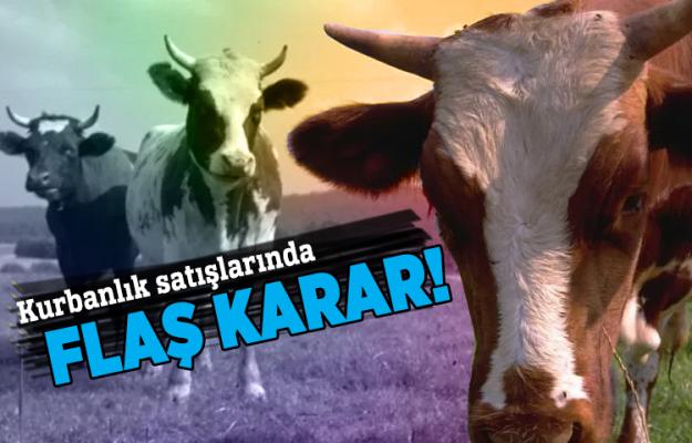 Kurbanlık satışlarında flaş karar!