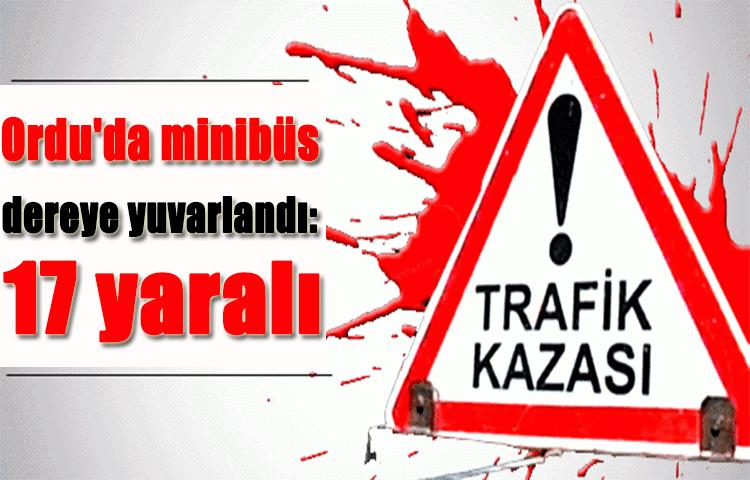 Ordu'da minibüs dereye yuvarlandı: 17 yaralı