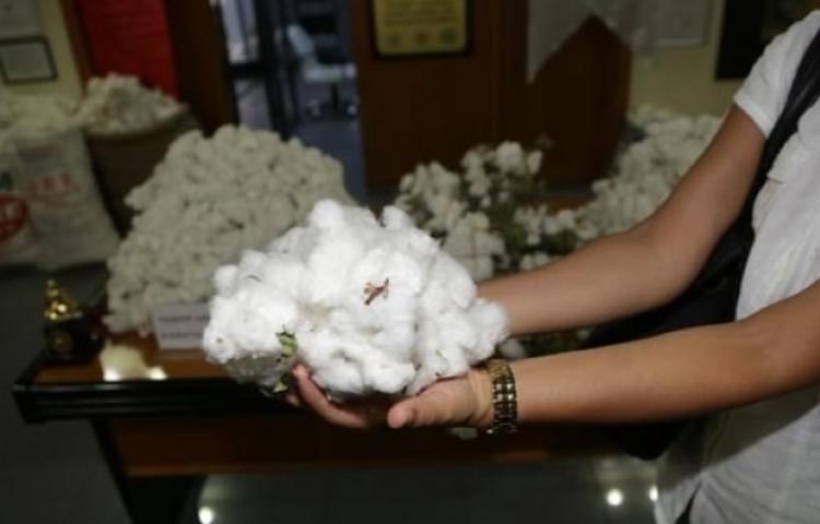 Kilosu 500 liraya satıldı!