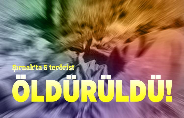 Şırnak'ta 5 terörist öldürüldü!