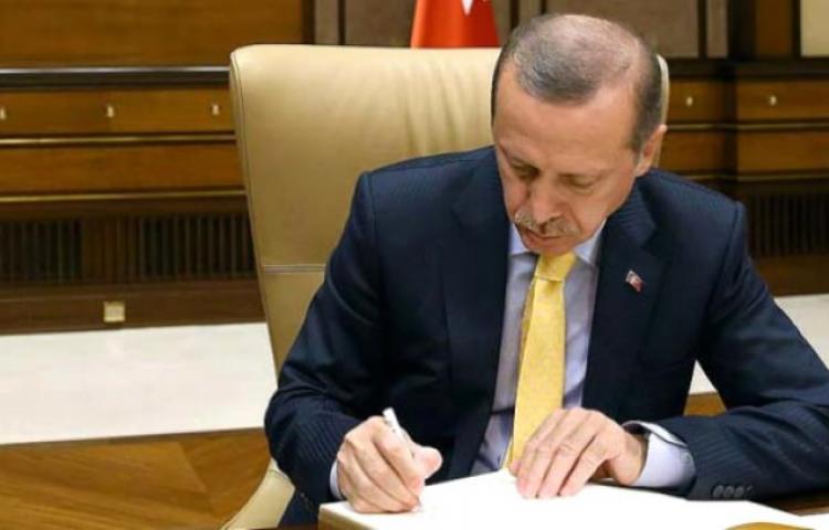 Cumhurbaşkanı Erdoğan'dan tebrik telgrafı