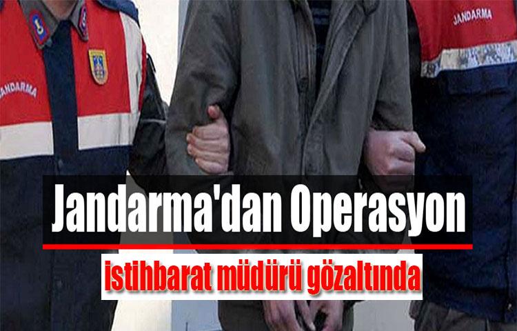 Jandarmadan operasyon istihbarat müdürü gözaltında