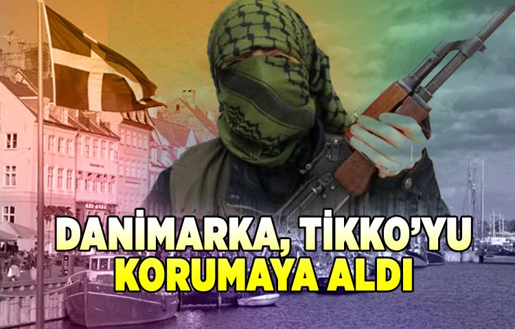 Danimarka, Tikko’yu Korumaya Aldı